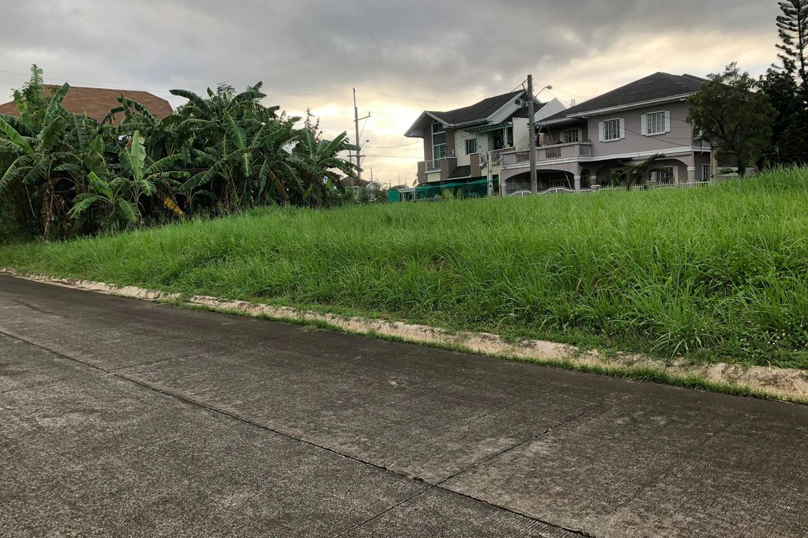 Land for Sale in Don Jose, Santa Rosa, Laguna – photo 2