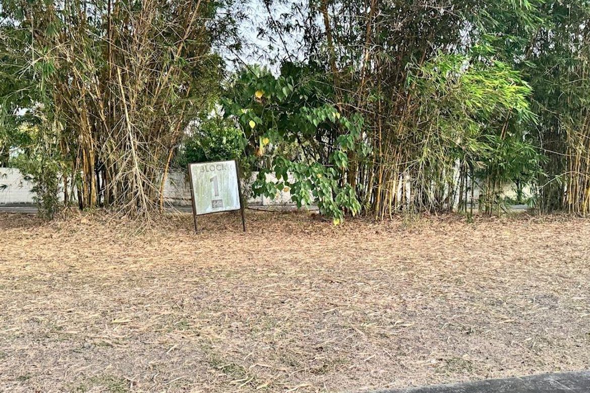 Land for Sale in Don Jose, Santa Rosa, Laguna – photo 2
