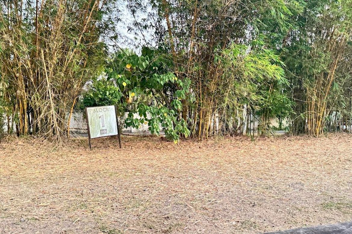 Land for Sale in Don Jose, Santa Rosa, Laguna – photo 3