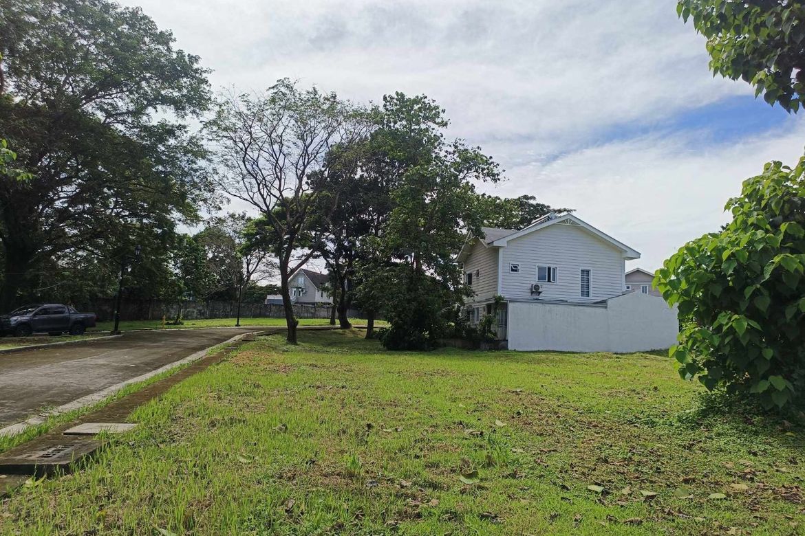 Land for Sale in Don Jose, Santa Rosa, Laguna – photo 4