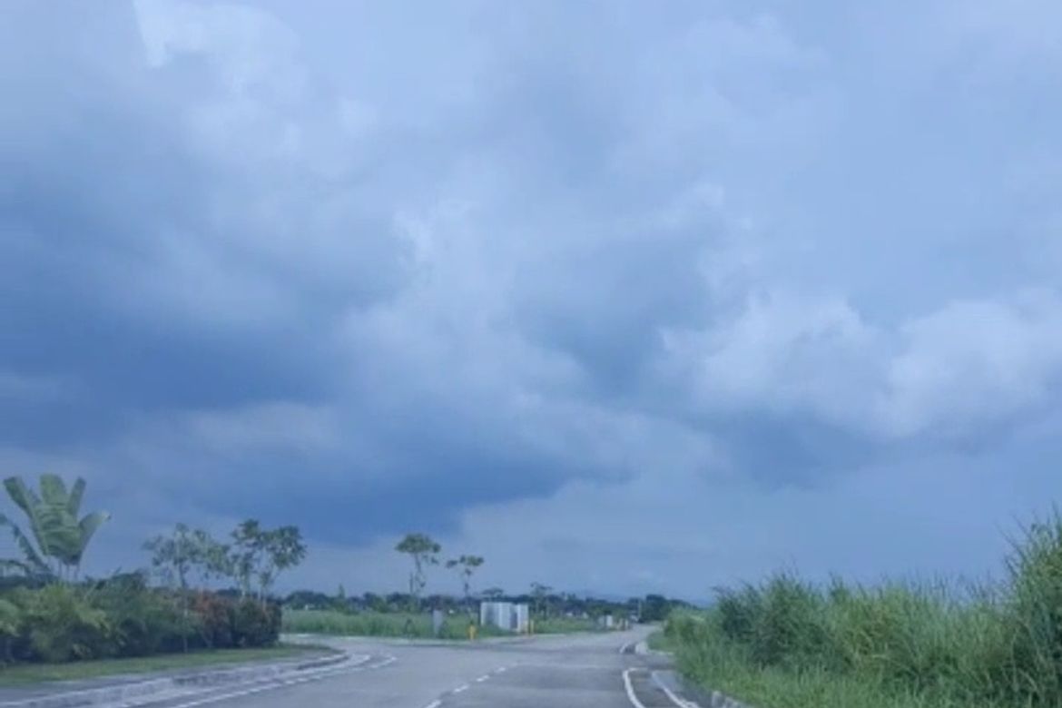 Land for Sale in Don Jose, Santa Rosa, Laguna – photo 8