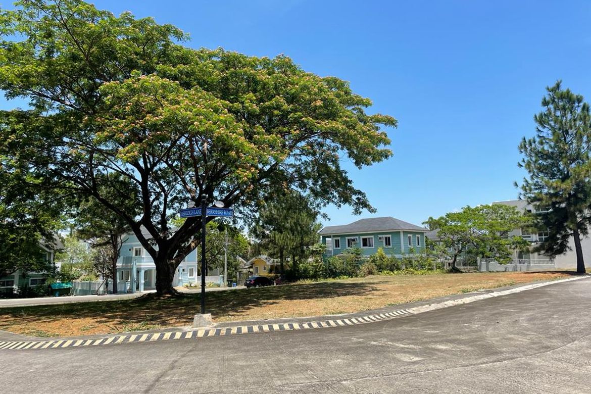 Land for Sale in Don Jose, Santa Rosa, Laguna – photo 8