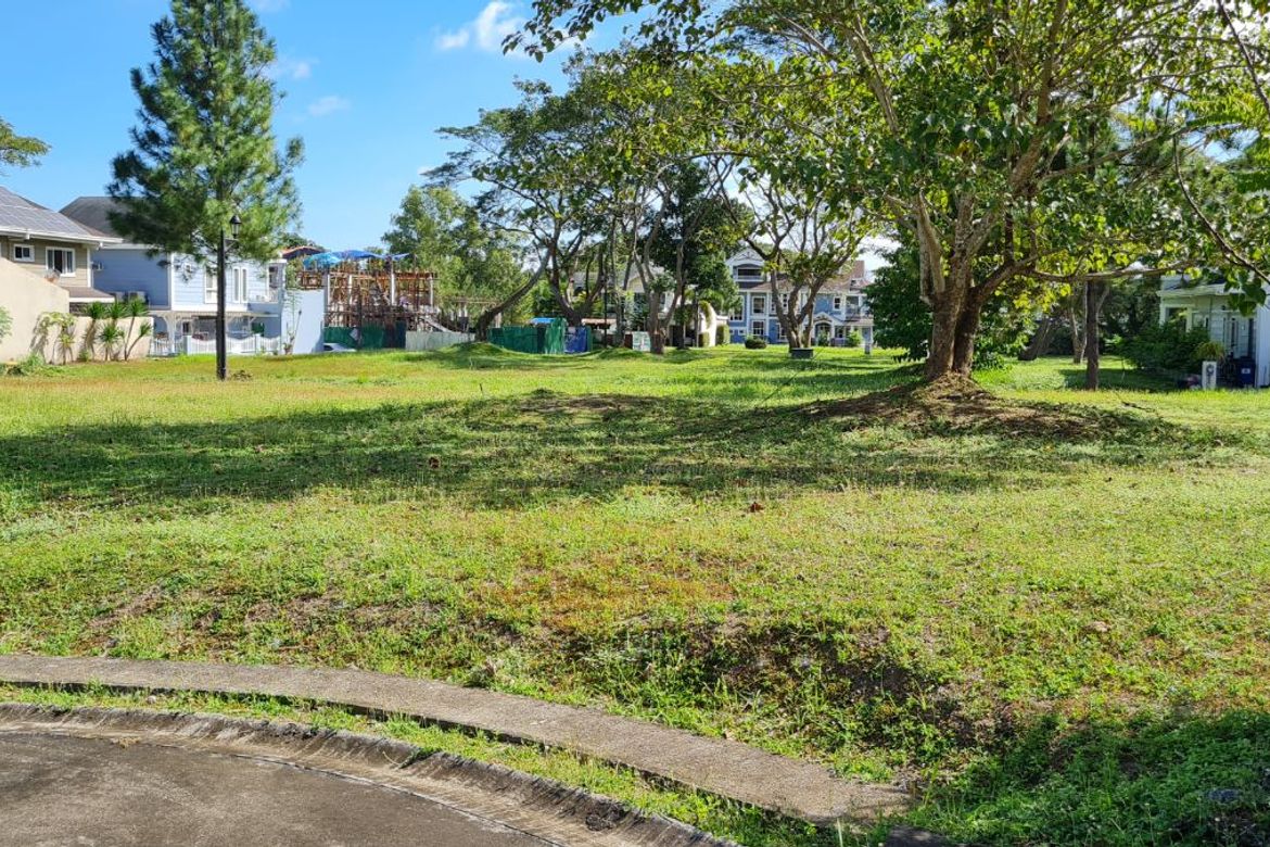 Land for Sale in Don Jose, Santa Rosa, Laguna – photo 4