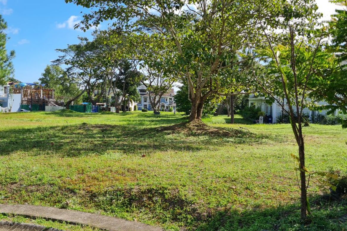 Land for Sale in Don Jose, Santa Rosa, Laguna – photo 5