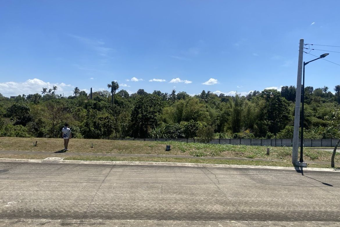 Land for Sale in Don Jose, Santa Rosa, Laguna – photo 3