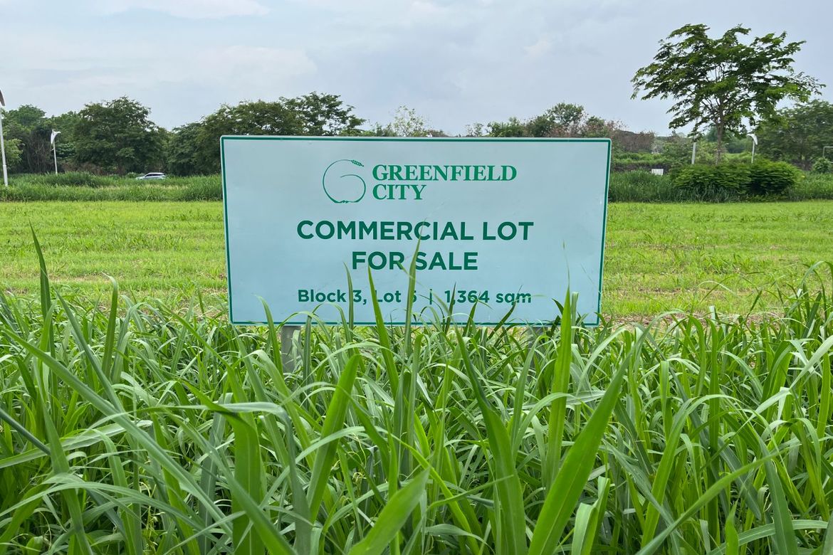 Land for Sale in Don Jose, Santa Rosa, Laguna