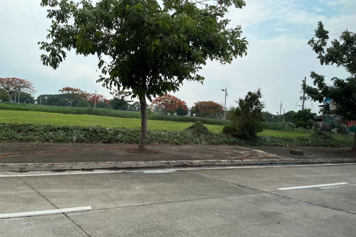 Land for Sale in Don Jose, Santa Rosa, Laguna – photo 3