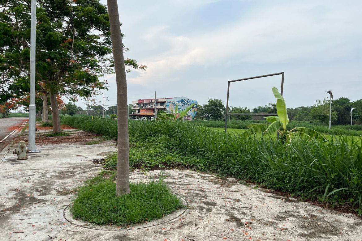 Land for Sale in Don Jose, Santa Rosa, Laguna – photo 6