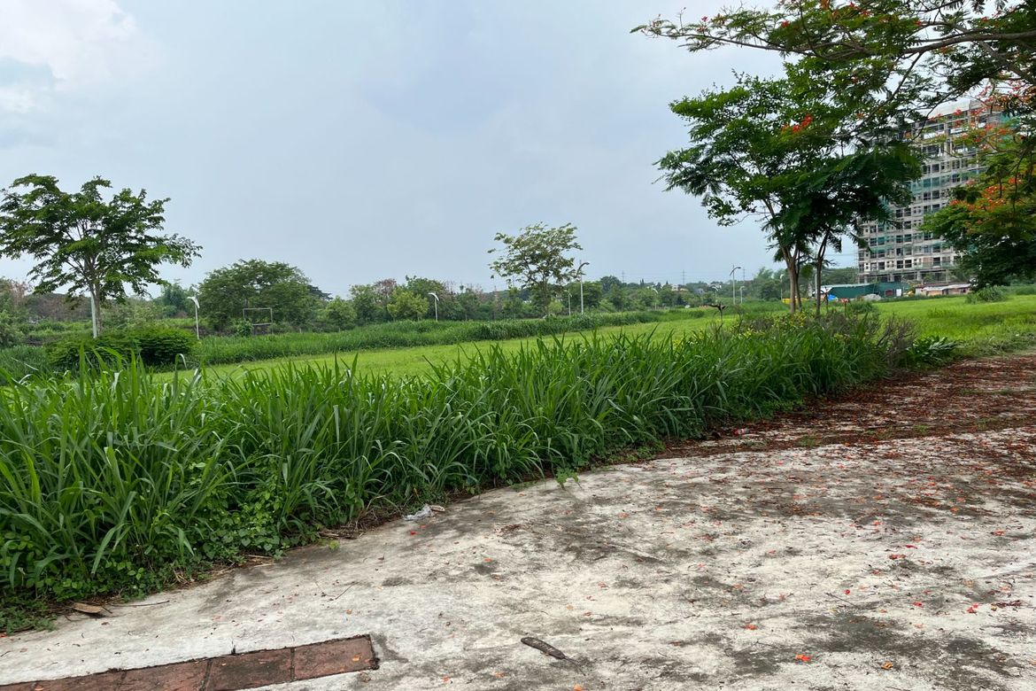 Land for Sale in Don Jose, Santa Rosa, Laguna – photo 7