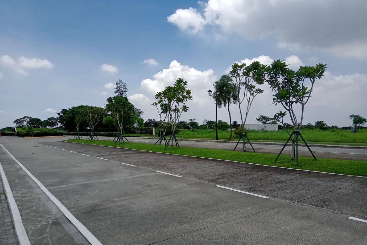 Land for Sale in Don Jose, Santa Rosa, Laguna – photo 5