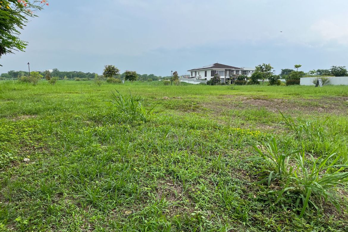 Land for Sale in Don Jose, Santa Rosa, Laguna – photo 6