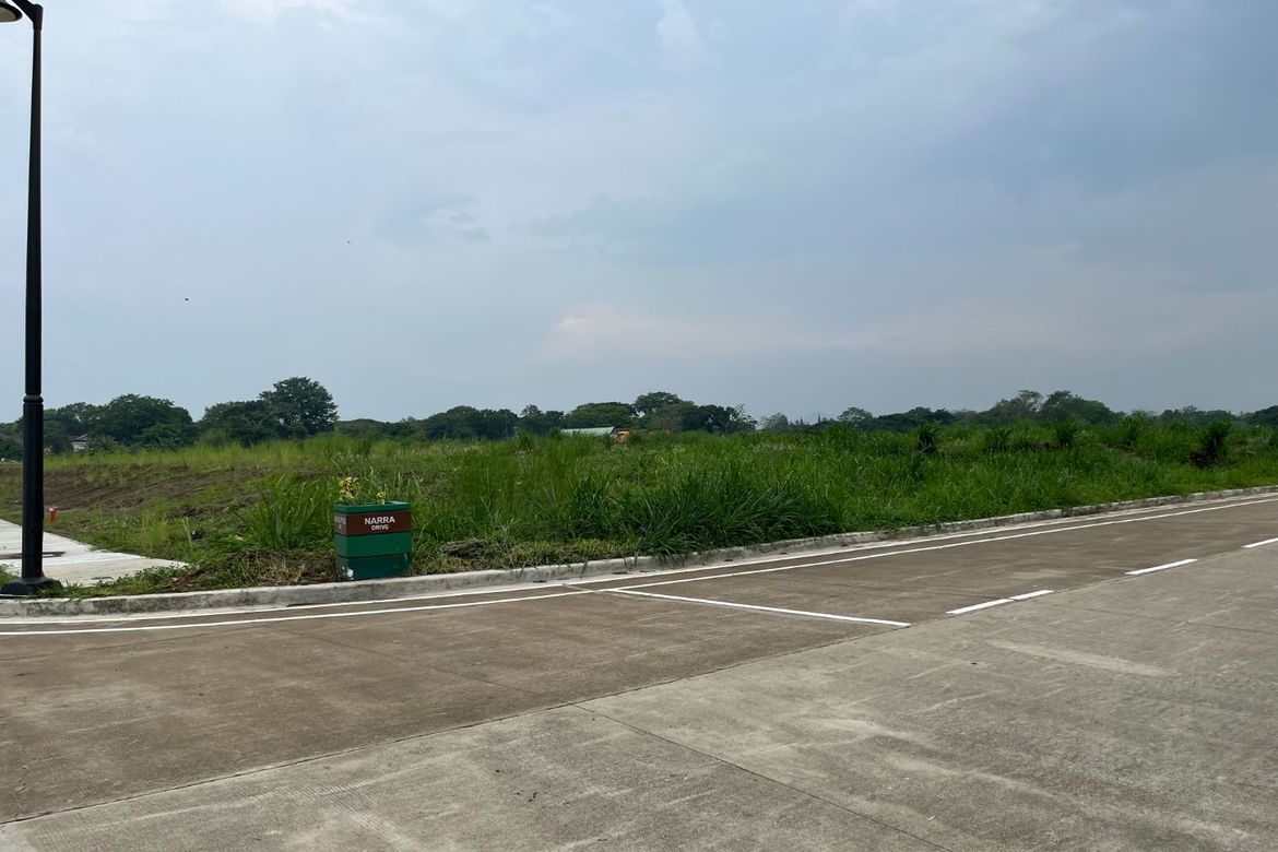 Land for Sale in Don Jose, Santa Rosa, Laguna – photo 3