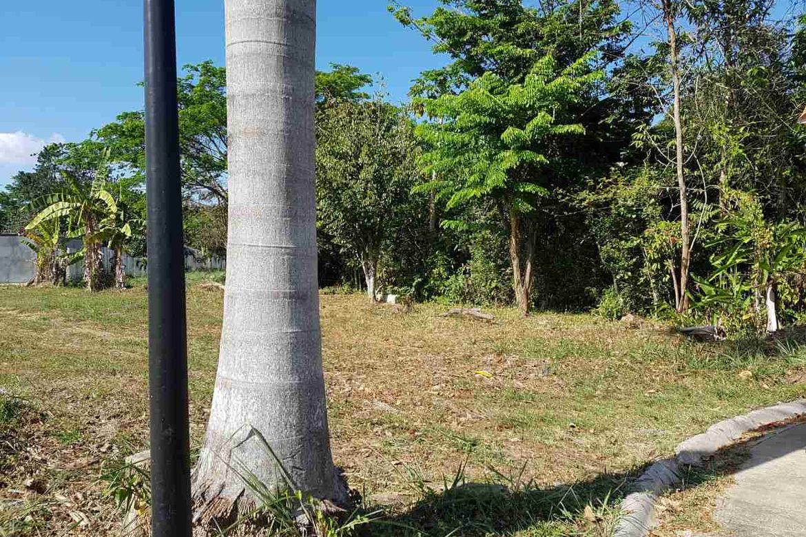 Land for Sale in Don Jose, Santa Rosa, Laguna