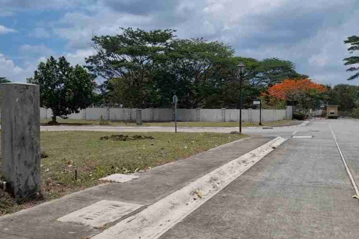 Land for Sale in Don Jose, Santa Rosa, Laguna – photo 2
