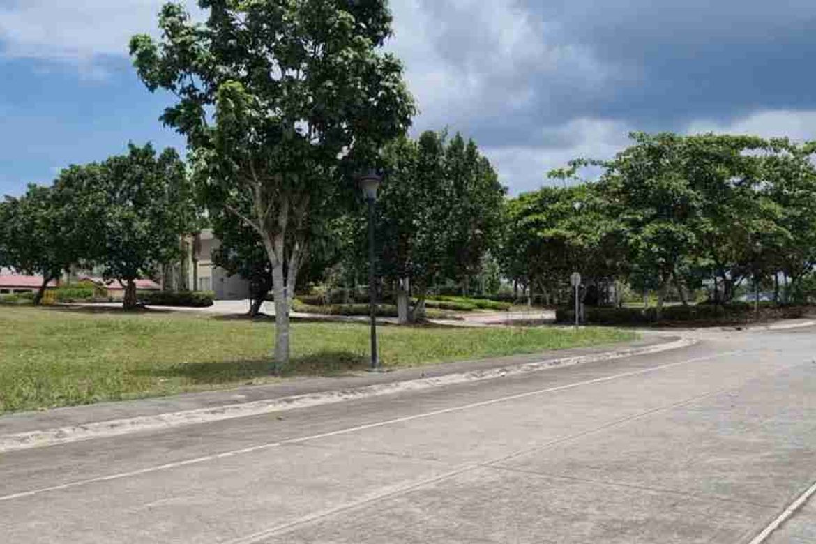 Land for Sale in Don Jose, Santa Rosa, Laguna – photo 4