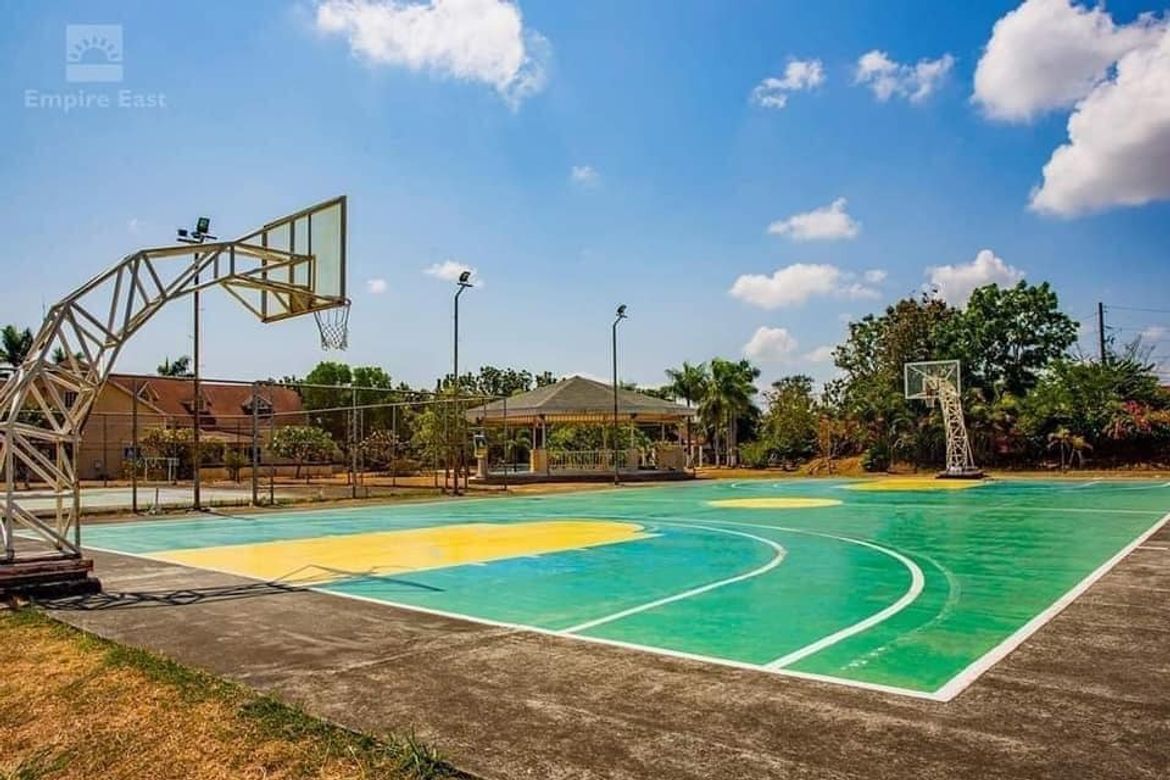 Land for Sale in Don Jose, Santa Rosa, Laguna – photo 6