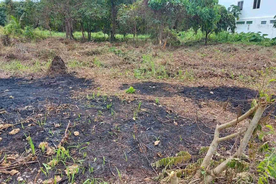 Land for Sale in Don Pedro Rodriguez, Bogo, Cebu – photo 2