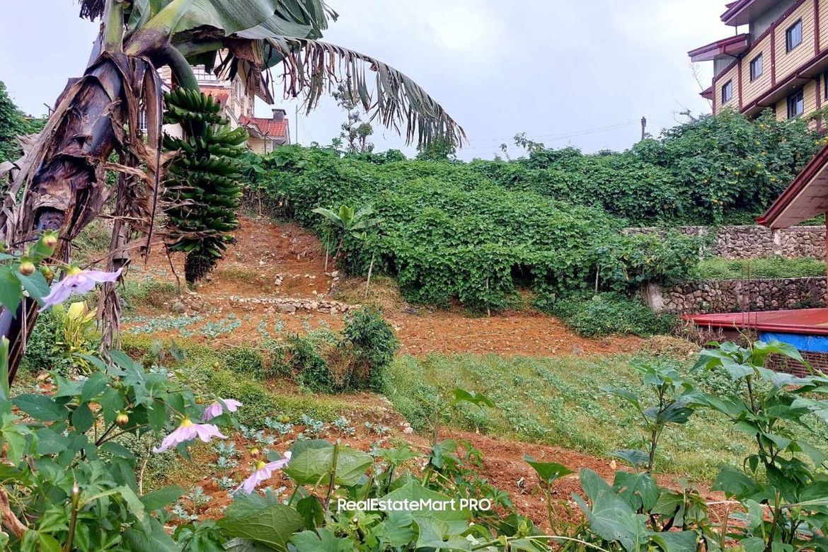 Land for Sale in Dontogan, Baguio, Benguet – photo 3