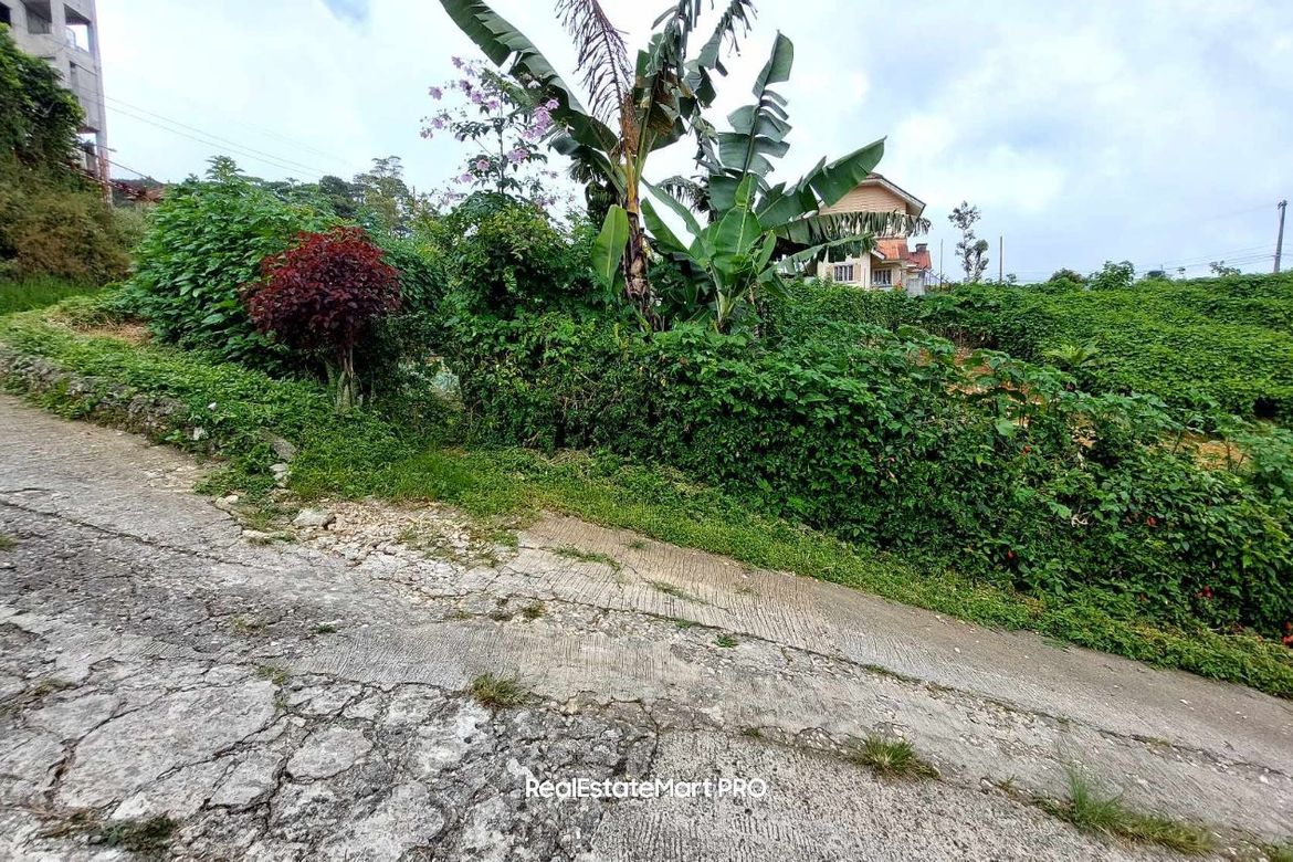 Land for Sale in Dontogan, Baguio, Benguet – photo 4