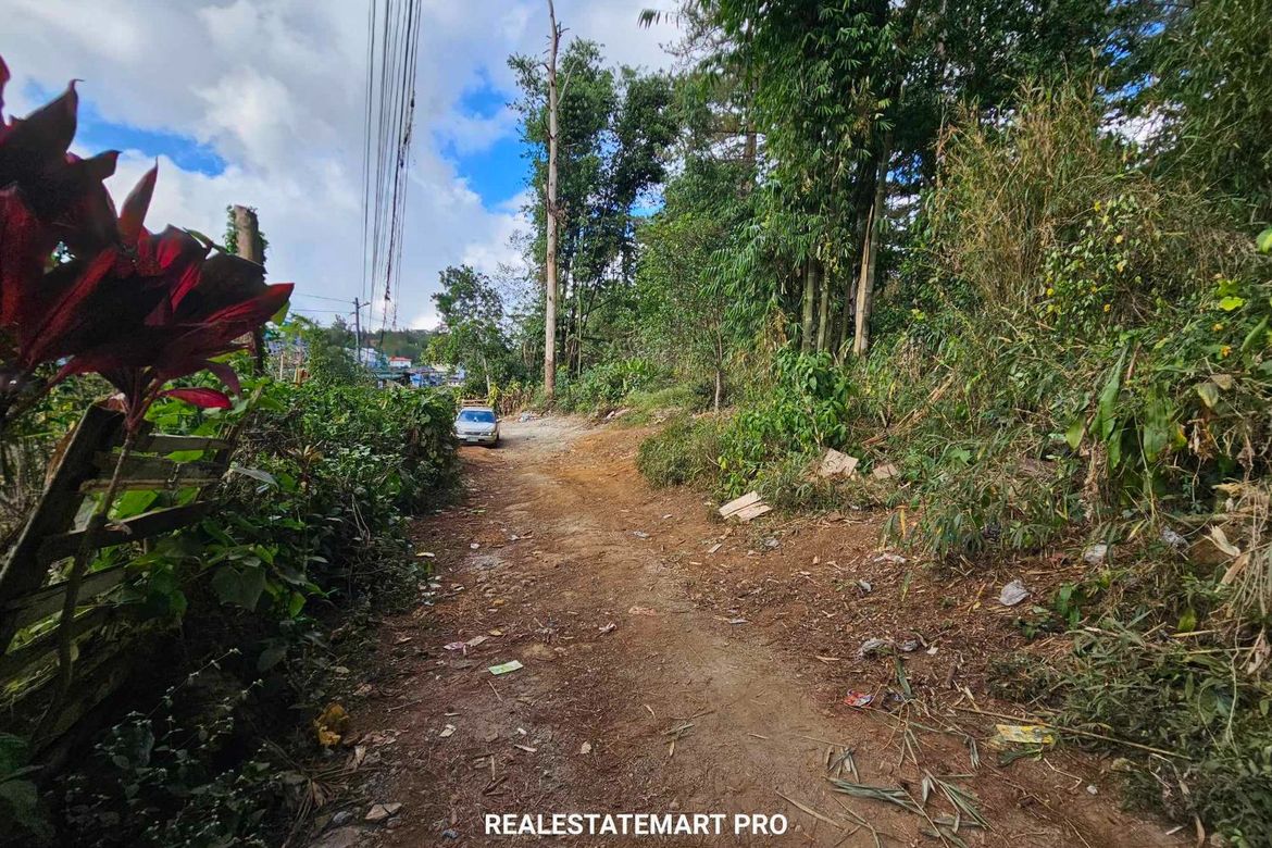 Land for Sale in Dps Area, Baguio, Benguet – photo 6