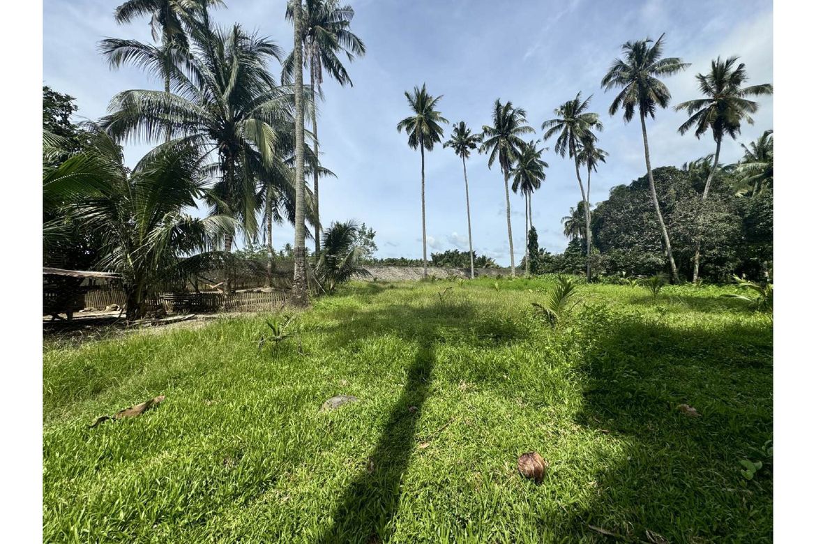 Land for Sale in Dr. Jose Rizal, Katipunan, Zamboanga del Norte