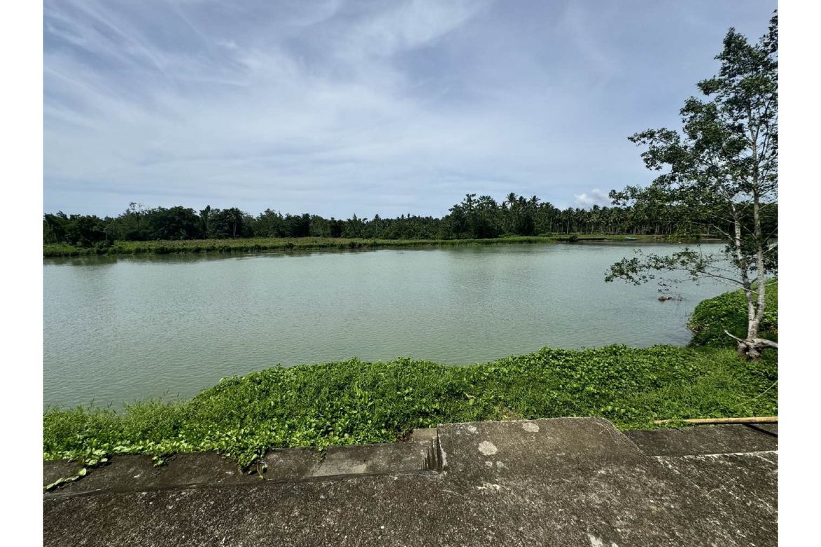 Land for Sale in Dr. Jose Rizal, Katipunan, Zamboanga del Norte – photo 3