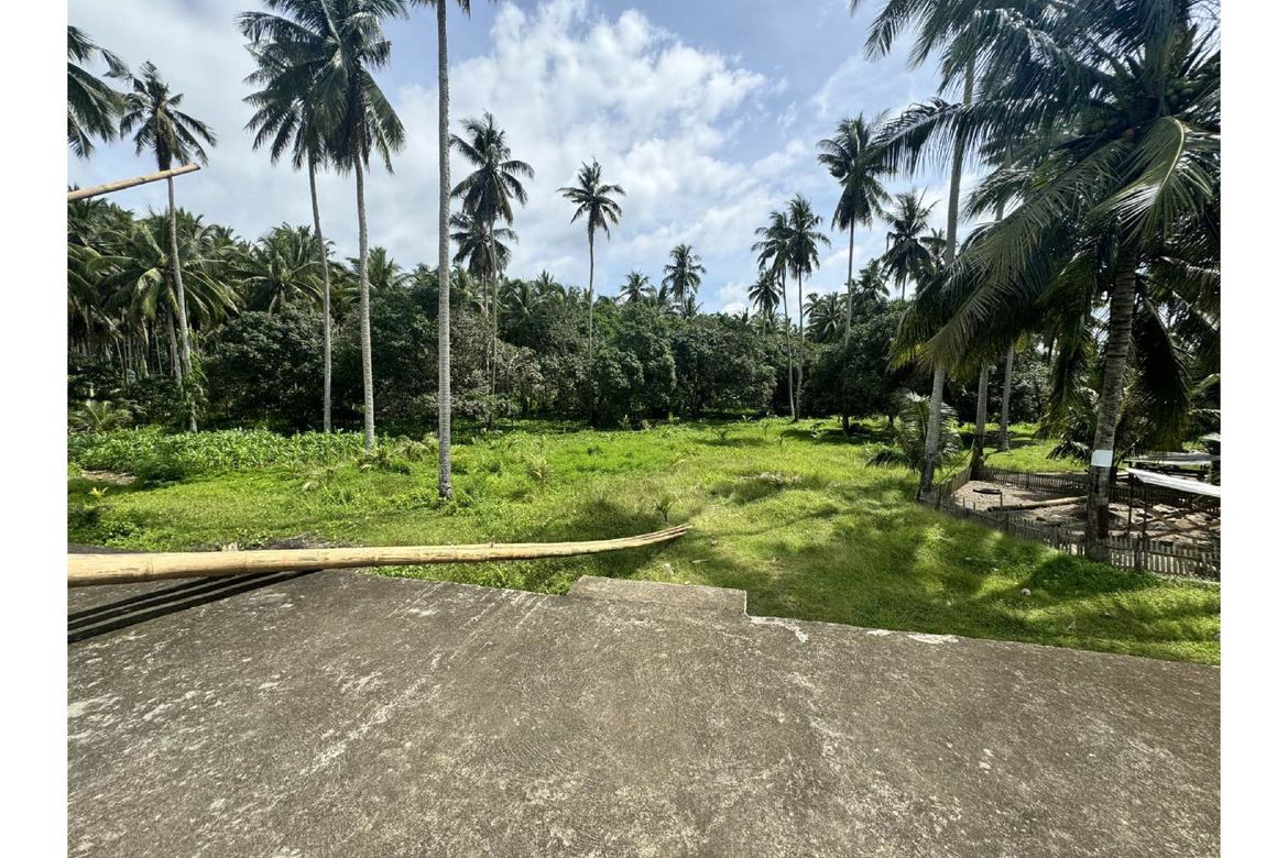 Land for Sale in Dr. Jose Rizal, Katipunan, Zamboanga del Norte – photo 4