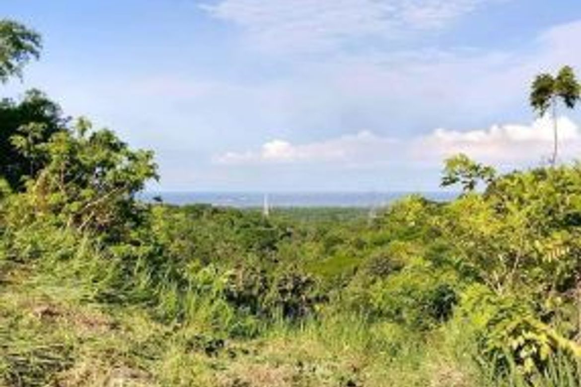 Land for Sale in Duale, Limay, Bataan – photo 5