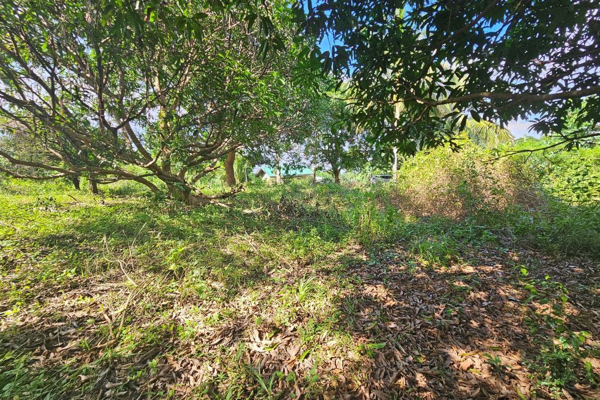 Land for Sale in Duale, Limay, Bataan – photo 7
