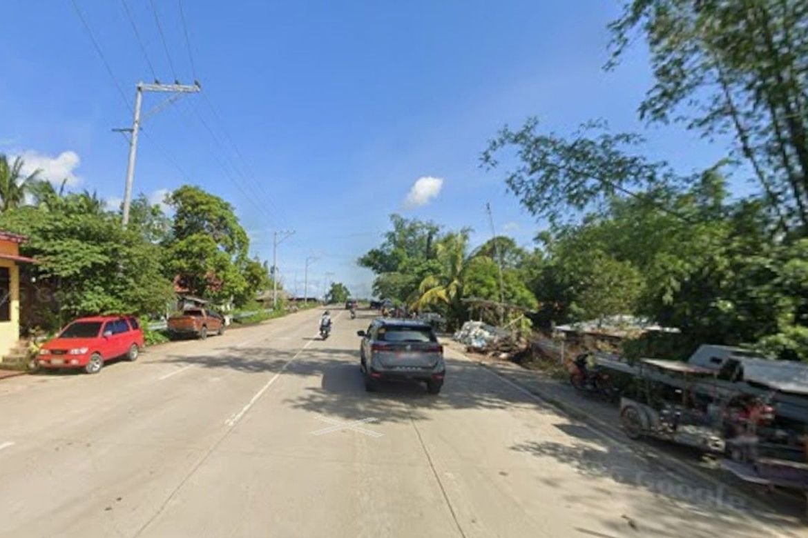Land for Sale in Dulao, Bago, Negros Occidental – photo 7