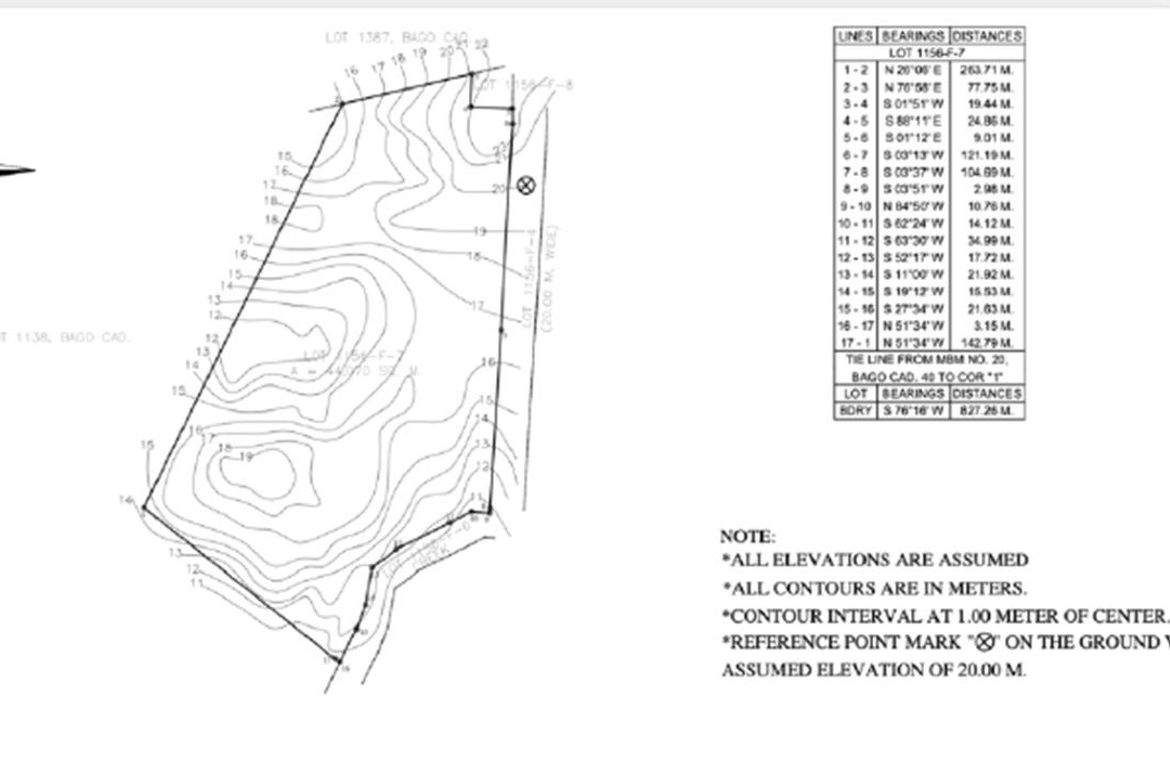 Land for Sale in Dulao, Bago, Negros Occidental – photo 8