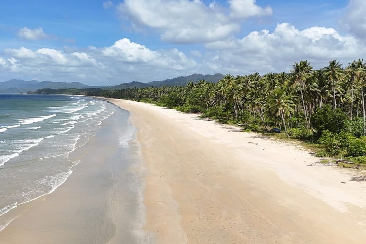 Land for Sale in Dumarao, Roxas, Palawan – photo 12