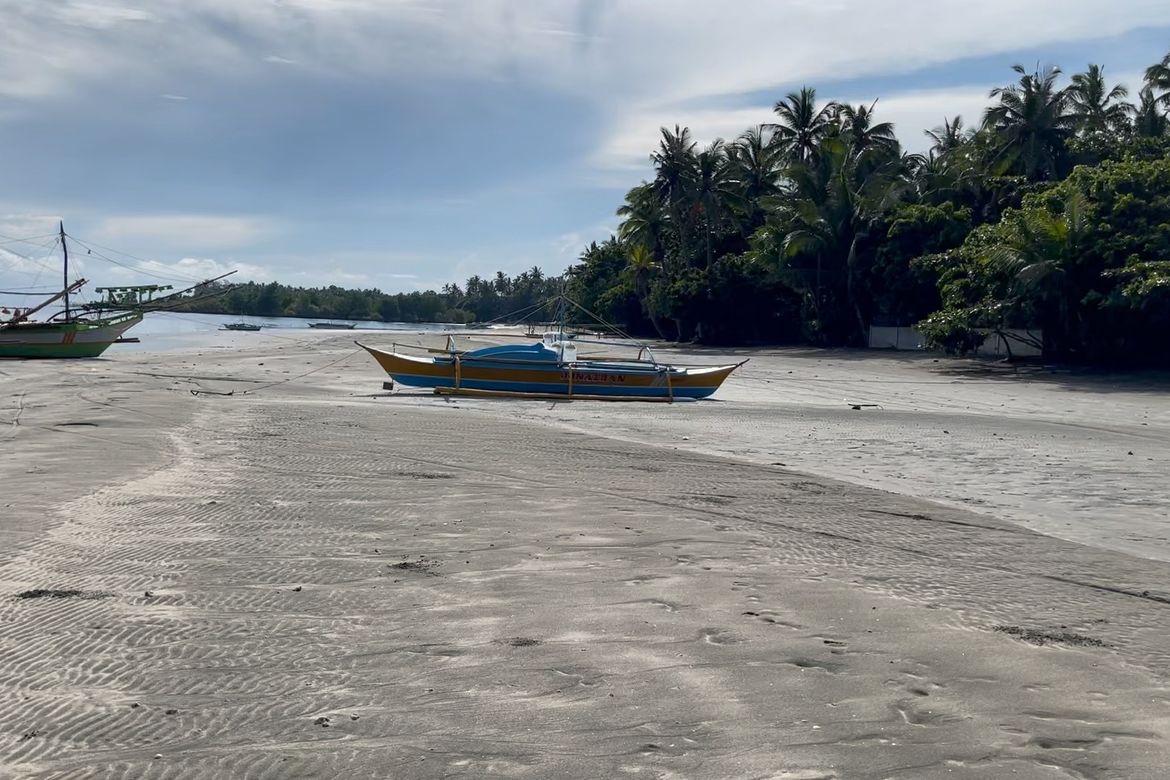Land for Sale in Dumatad, Tangalan, Aklan