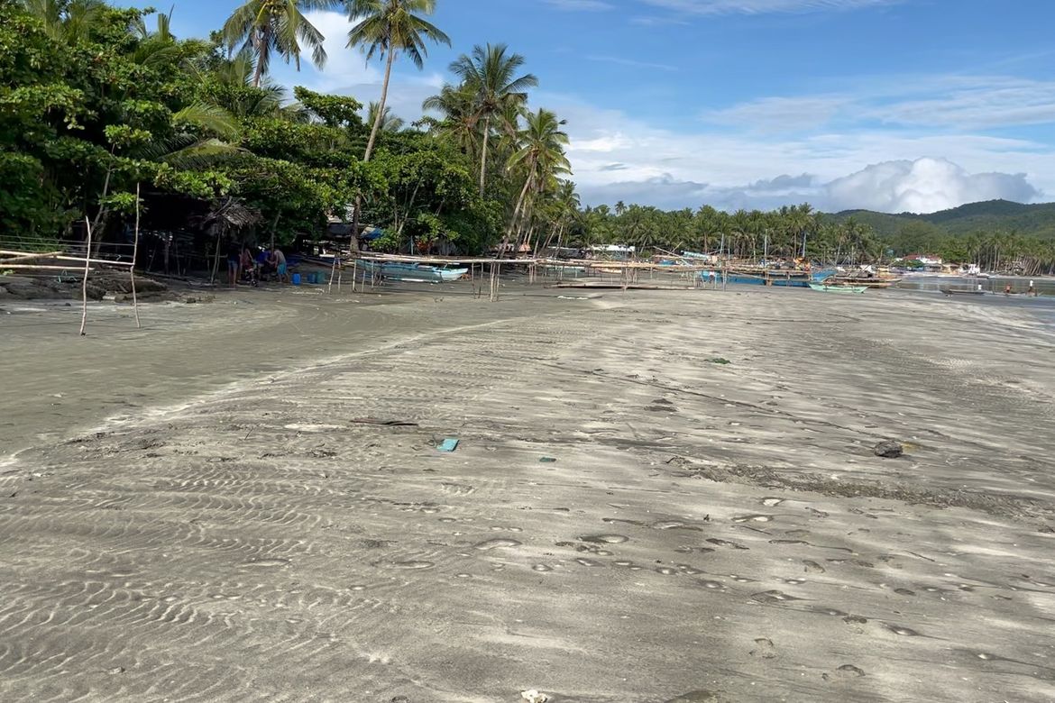 Land for Sale in Dumatad, Tangalan, Aklan – photo 3