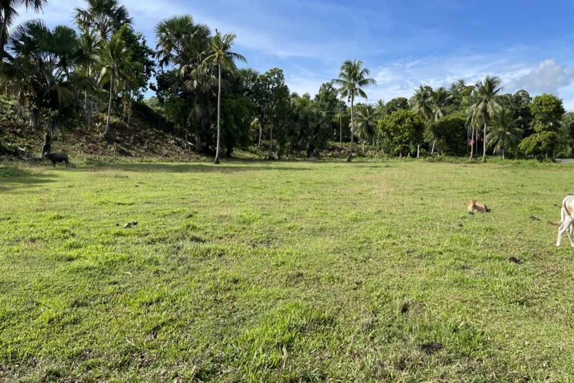 Land for Sale in Dumatad, Tangalan, Aklan – photo 5