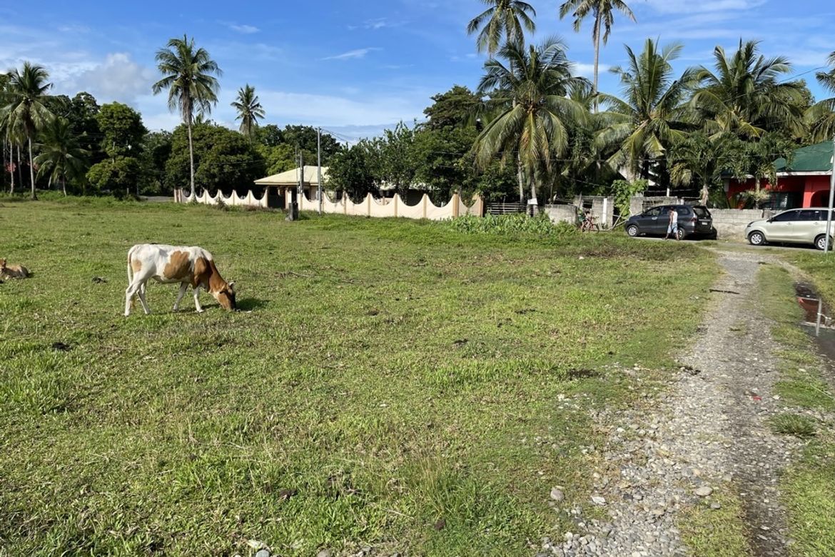 Land for Sale in Dumatad, Tangalan, Aklan – photo 7