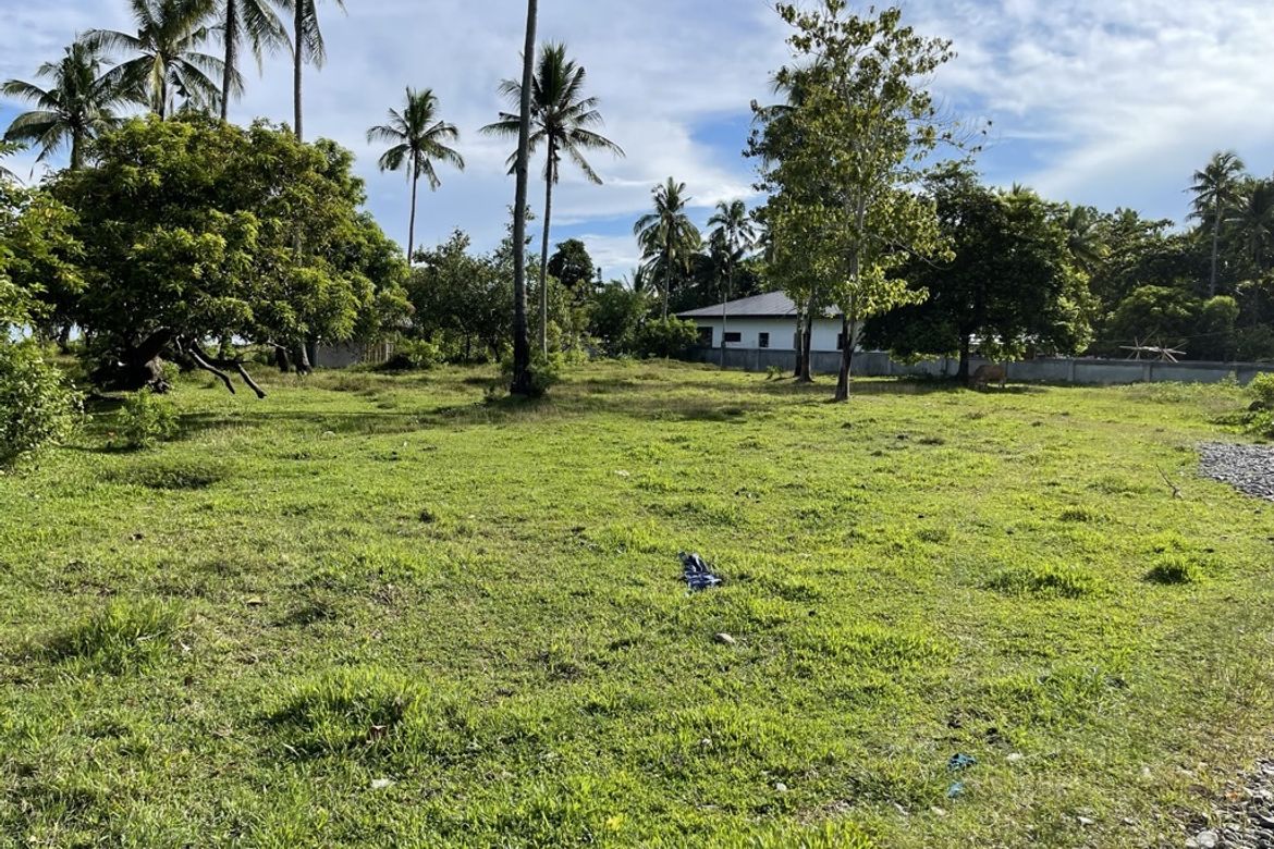 Land for Sale in Dumatad, Tangalan, Aklan – photo 8