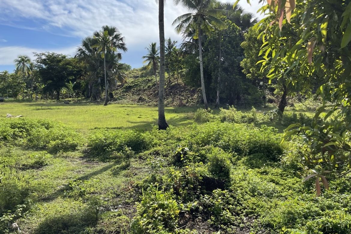 Land for Sale in Dumatad, Tangalan, Aklan – photo 9