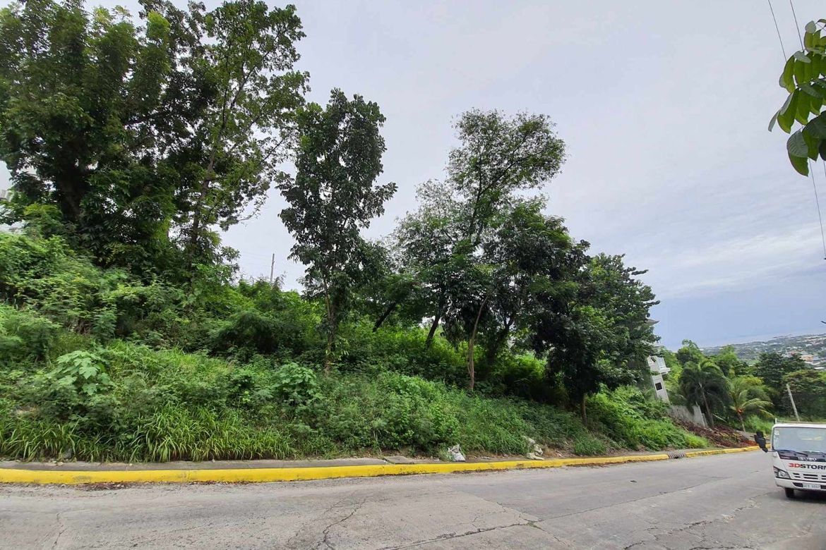 Land for Sale in Dumlog, Talisay, Cebu