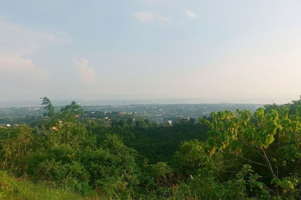 Land for Sale in Dumlog, Talisay, Cebu