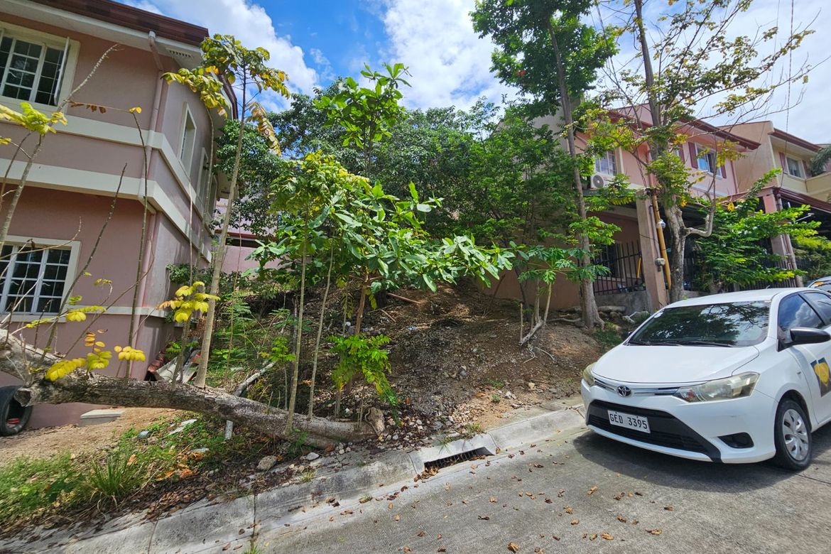 Land for Sale in Dumlog, Talisay, Cebu – photo 3