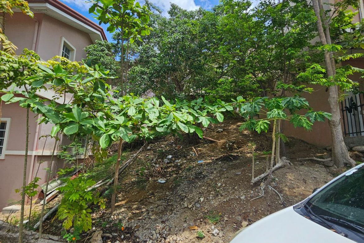 Land for Sale in Dumlog, Talisay, Cebu – photo 6