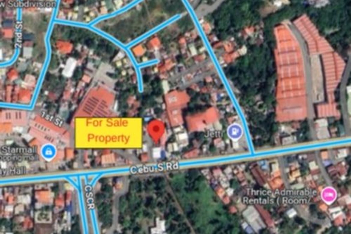 Land for Sale in Dumlog, Talisay, Cebu – photo 6