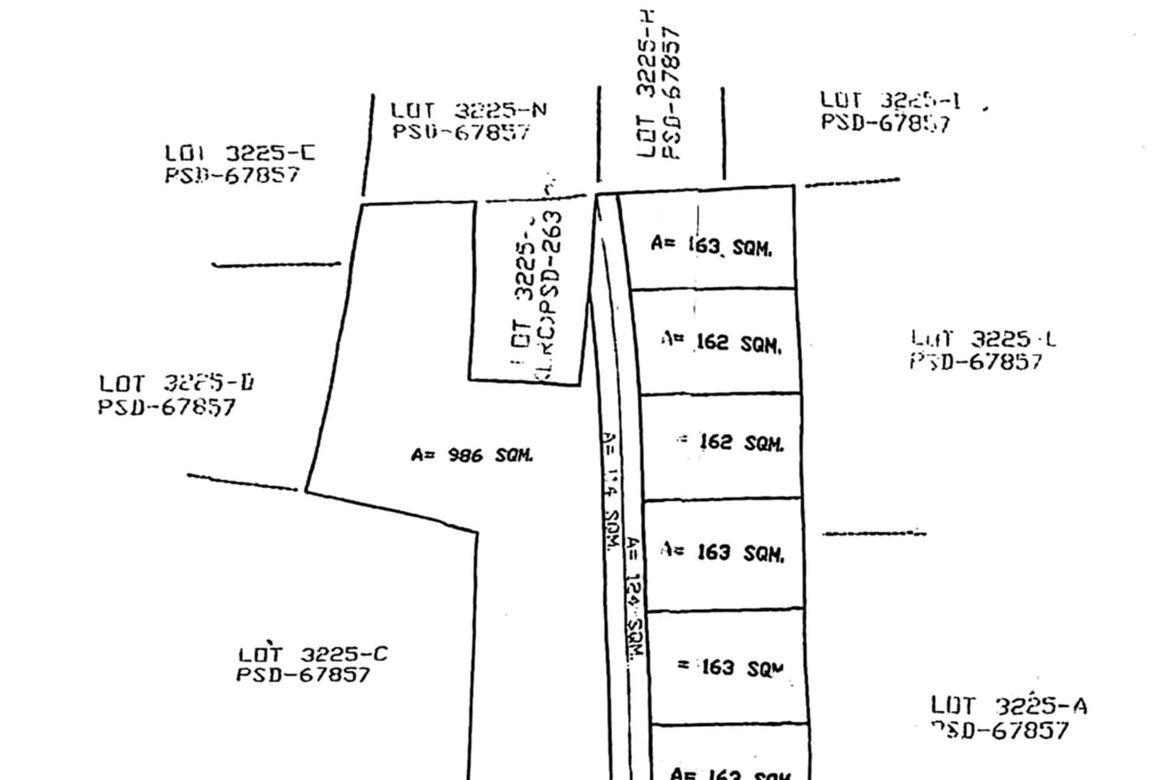 Land for Sale in Dumlog, Talisay, Cebu – photo 7