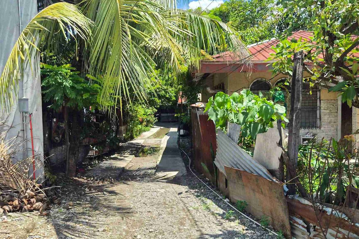 Land for Sale in Dumlog, Talisay, Cebu – photo 2