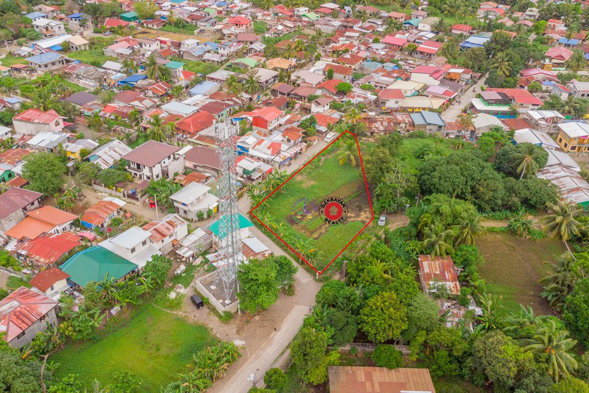 Land for Sale in Dumoy, Davao City, Davao del Sur