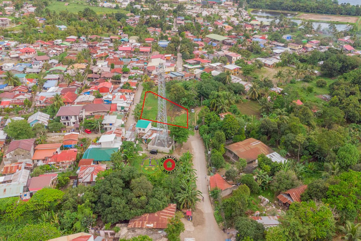 Land for Sale in Dumoy, Davao City, Davao del Sur – photo 2
