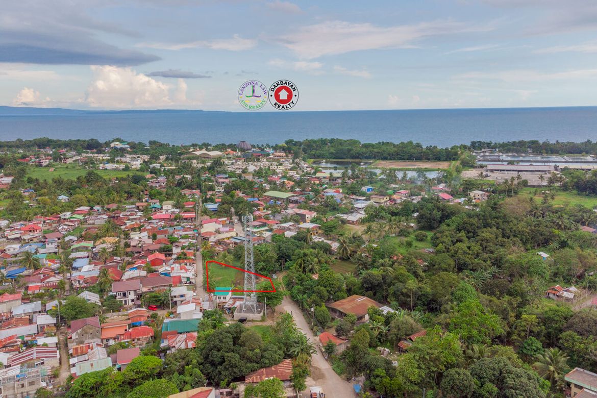 Land for Sale in Dumoy, Davao City, Davao del Sur – photo 3