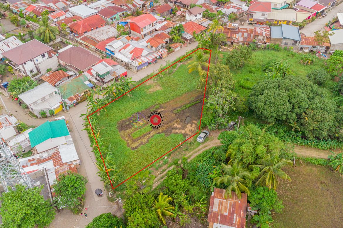 Land for Sale in Dumoy, Davao City, Davao del Sur – photo 4
