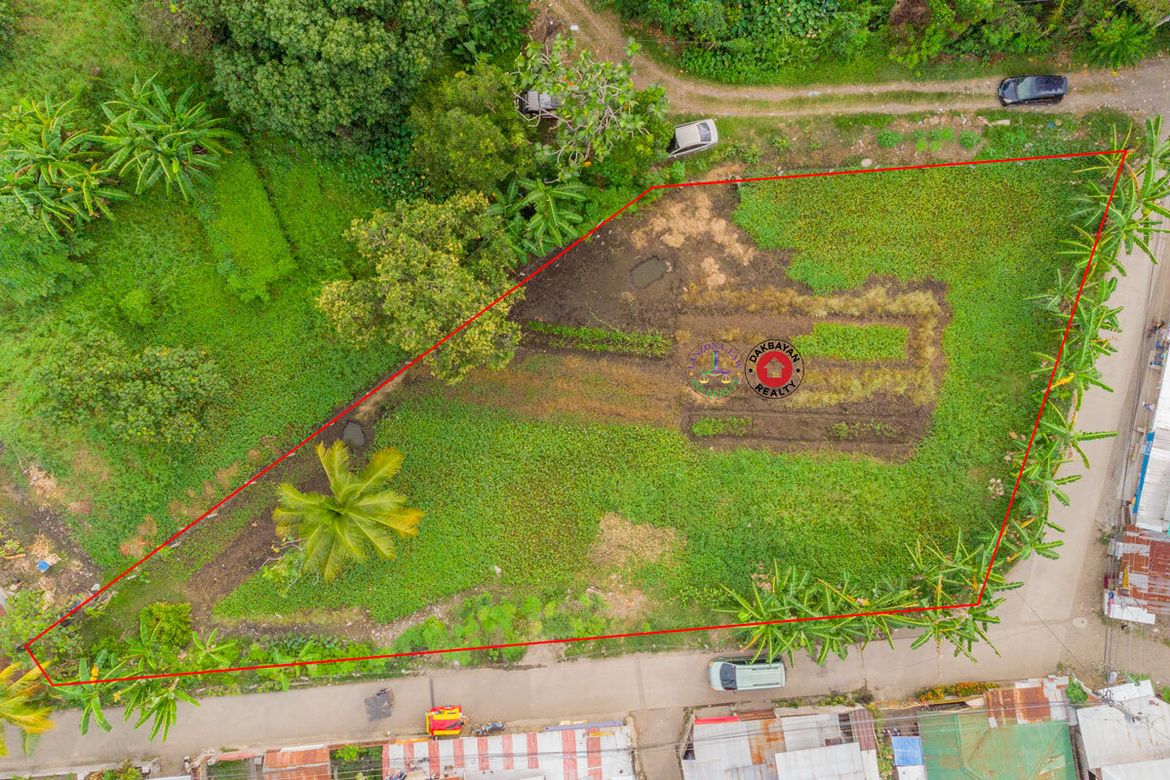 Land for Sale in Dumoy, Davao City, Davao del Sur – photo 5